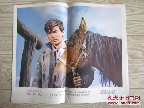 购买爱尔兰签证
